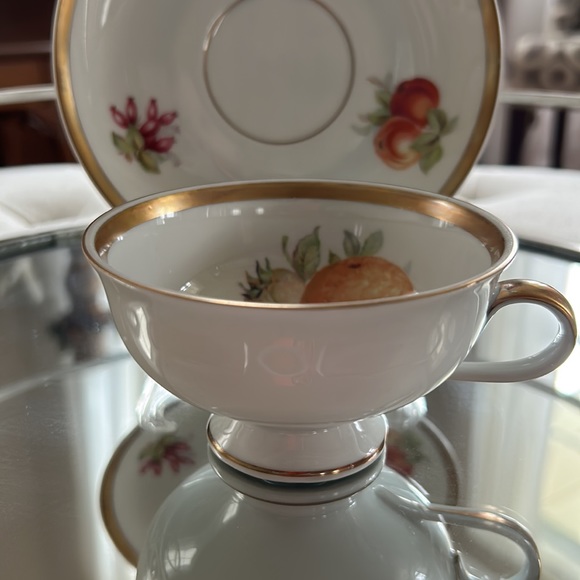 Bavarian Golden Crown (Orchard) Teacup and Saucer - Picture 3 of 5